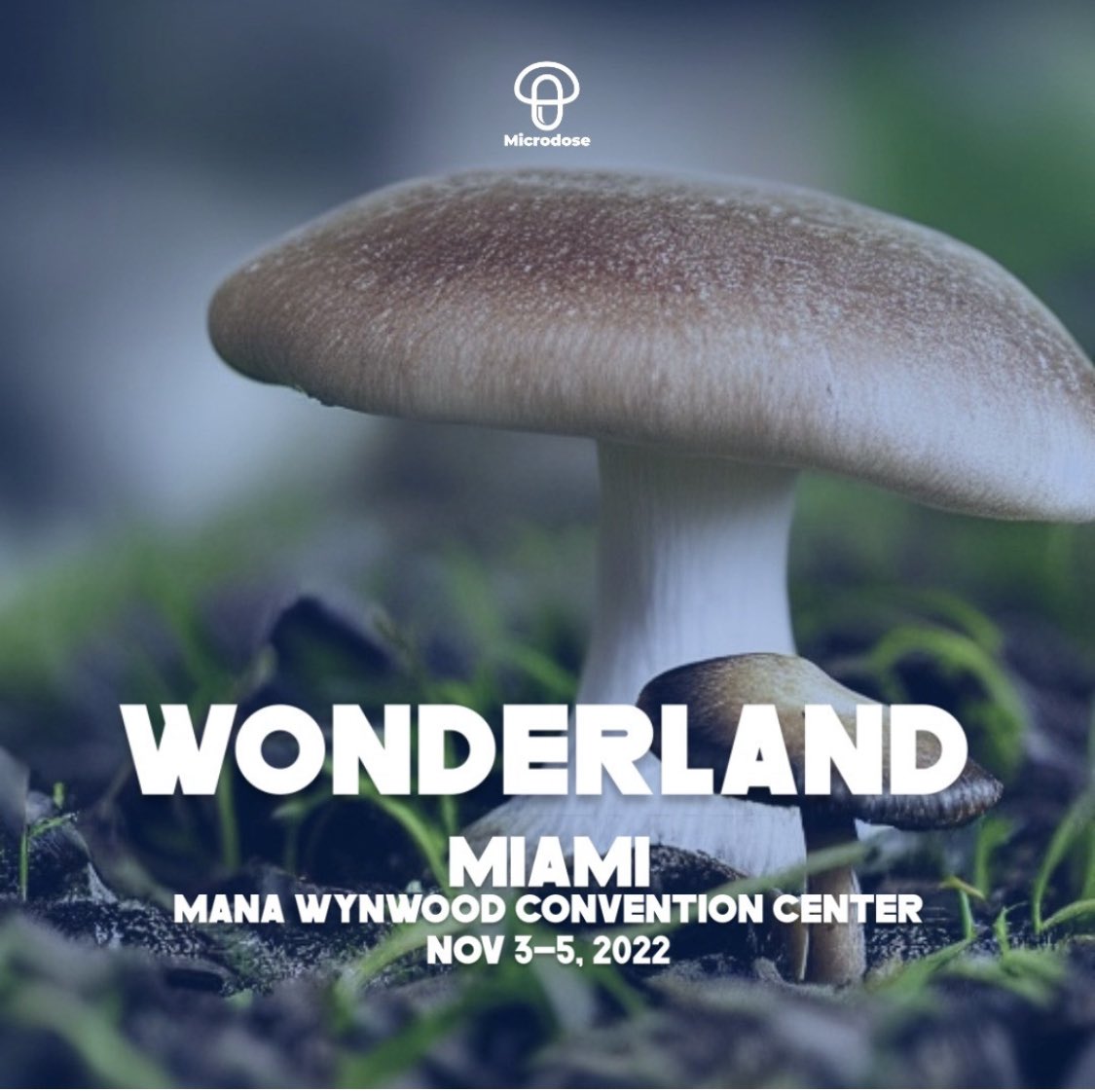 I’ll be at #WonderlandMiami with @MicrodoseHQ next week! Excited to play some music and share on psychedelics from an artist’s perspective ✨🍄