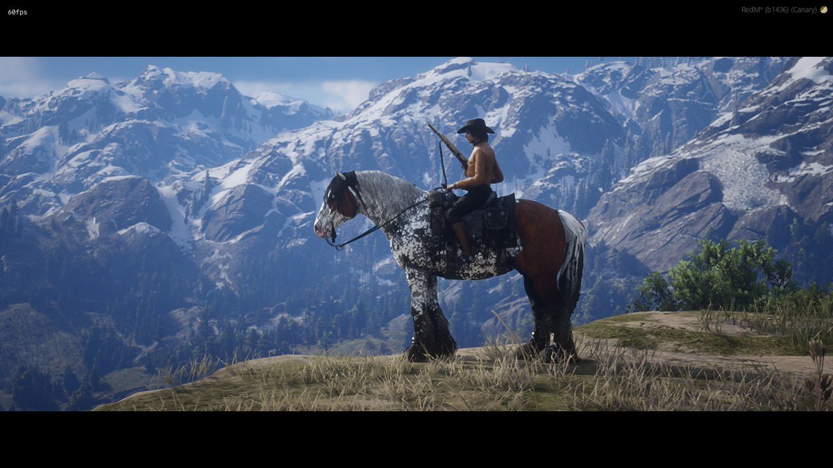 DwW_RP's tweet photo. Ein bisschen Ausblick genießen…auf DwW! 
#DwW #DerwildeWesten #RP #RDR2 https://t.co/PElc1VVUXM