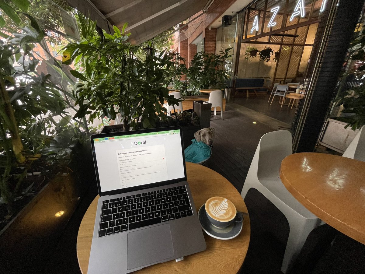 feche87's tweet image. #DogTech