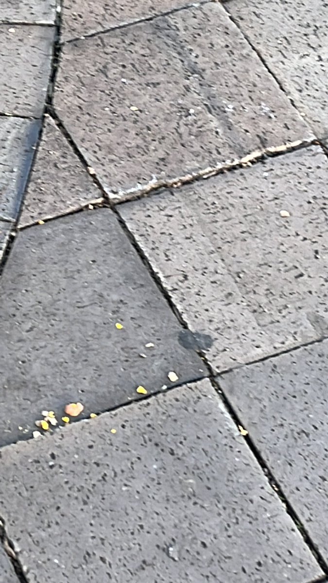 Matthew McCann (@matthewmccann72) on Twitter photo 