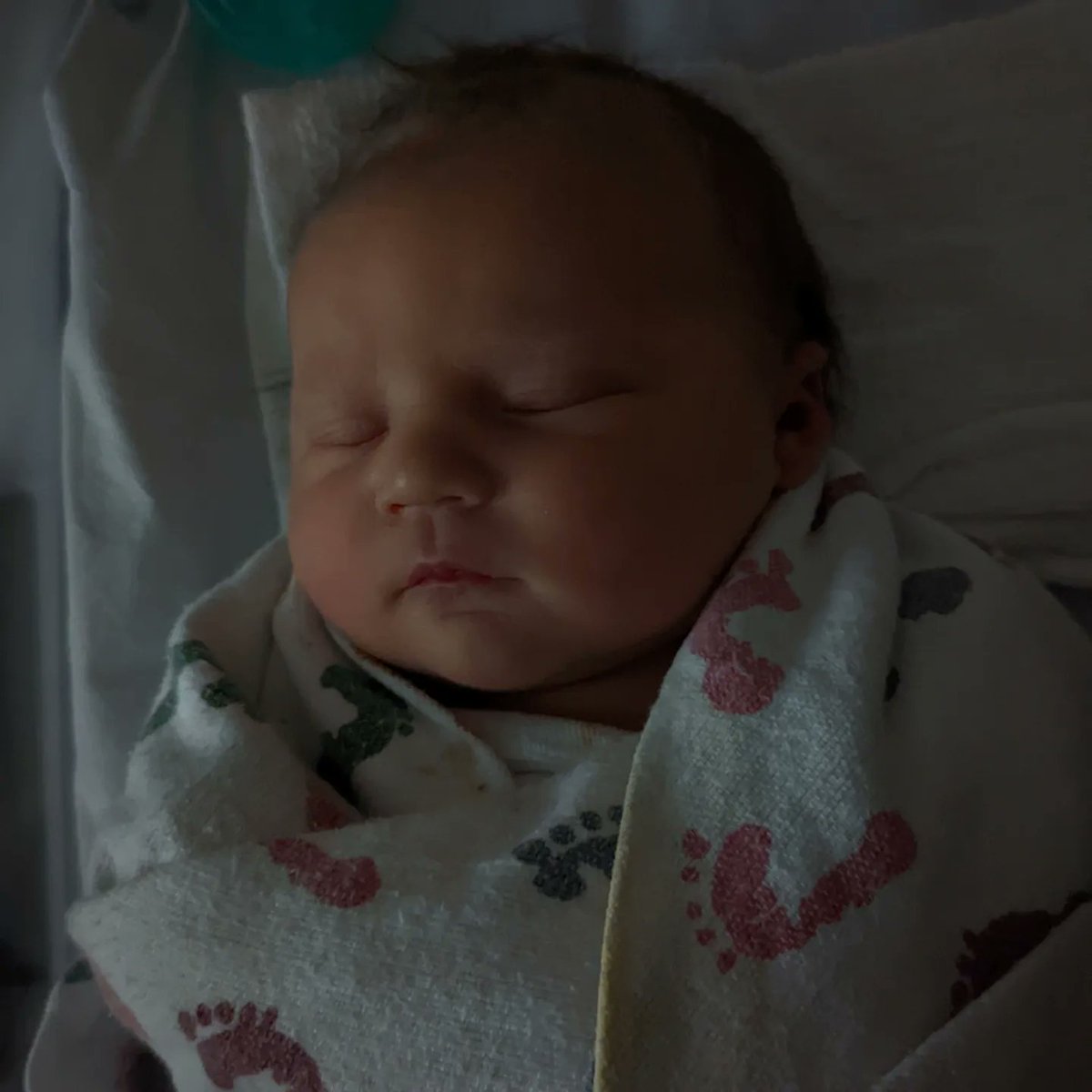 Tomatrix tweet media