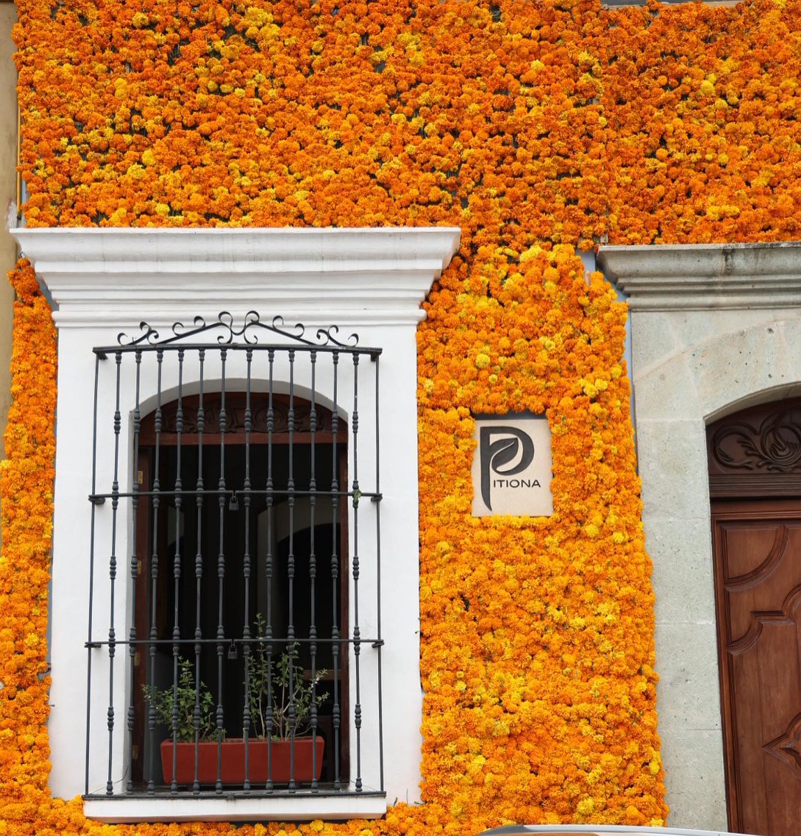 Central Q Noticias tweet media