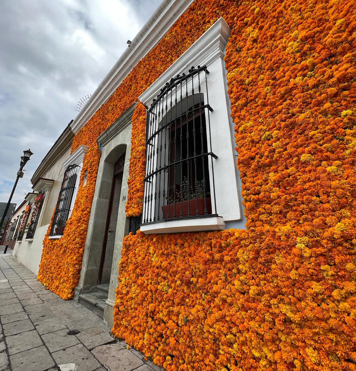 Central Q Noticias tweet media