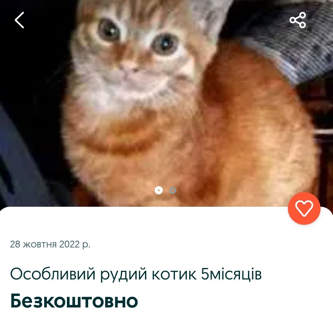 🖤 Hodoschechka 🖤 tweet media