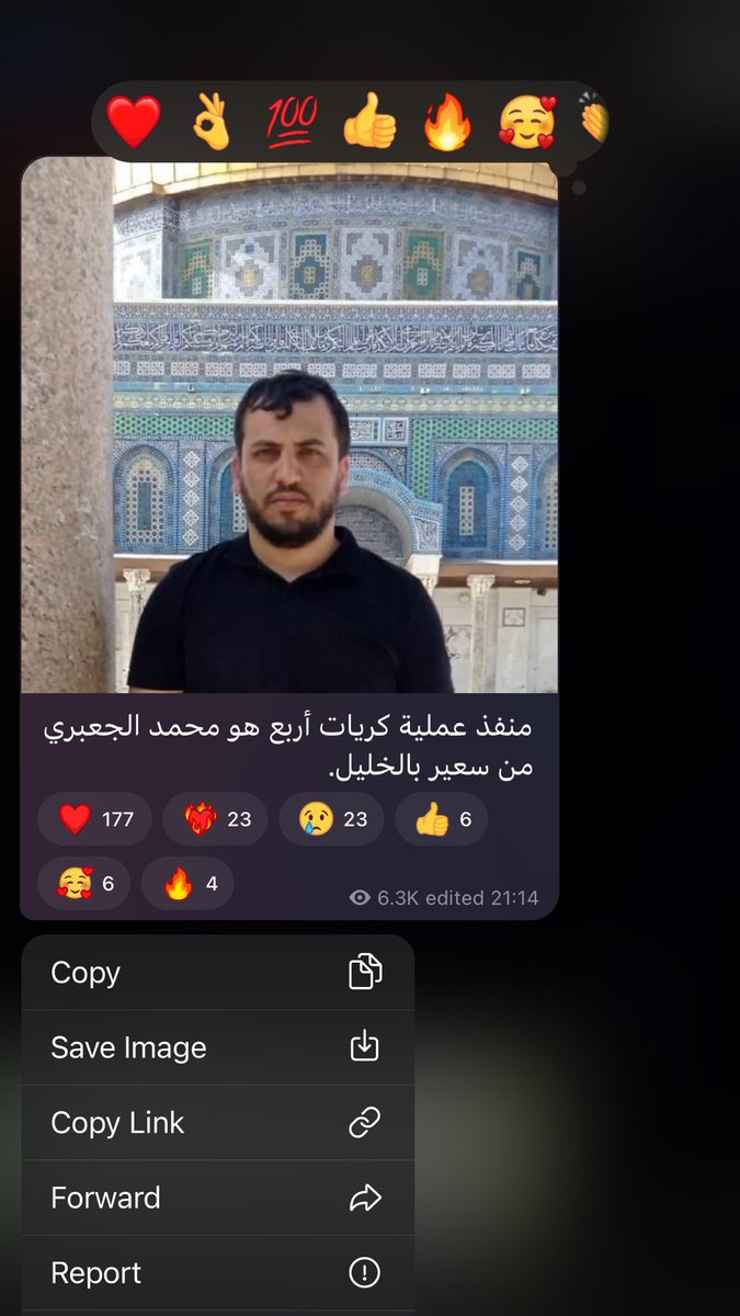 حيِّ على الثأر .. حيِّ على خيرِ العمل .. 
حيِّ على الجهـاد 𓂆
#كلنا_عرين_الأسود