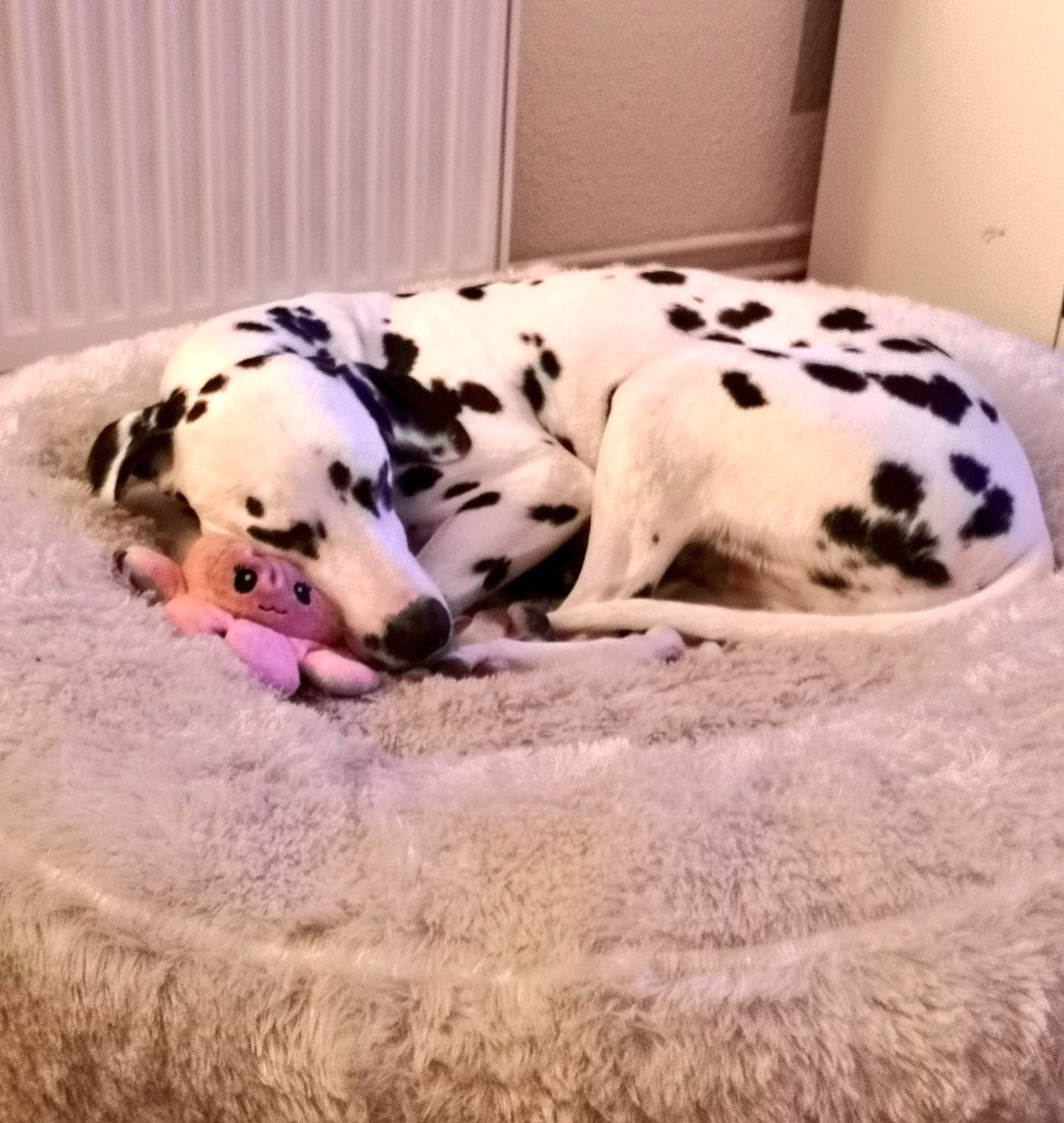 Ich wünsche euch eine gute Nacht ihr Lieben 😊😴