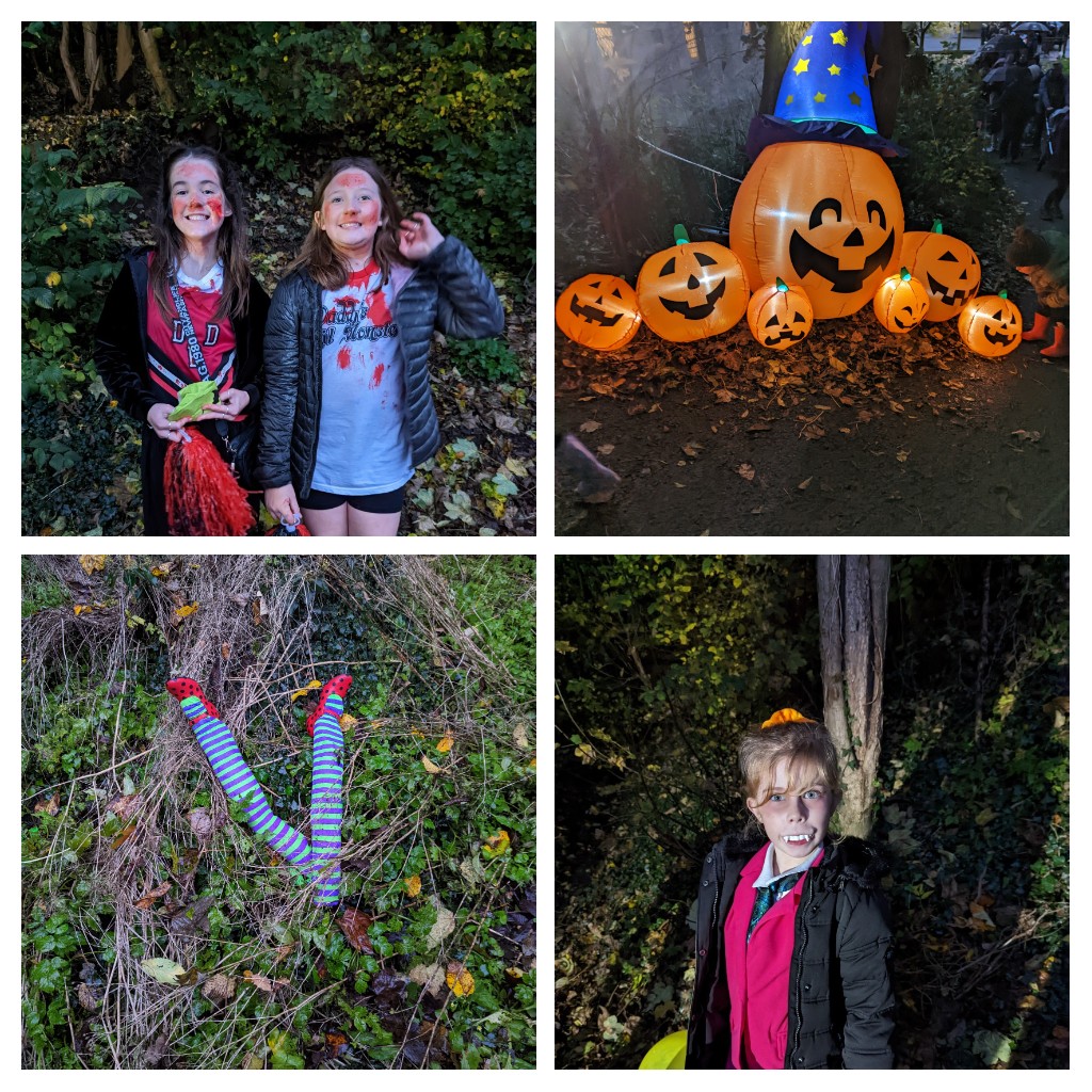 Menstrie Primary School tweet media