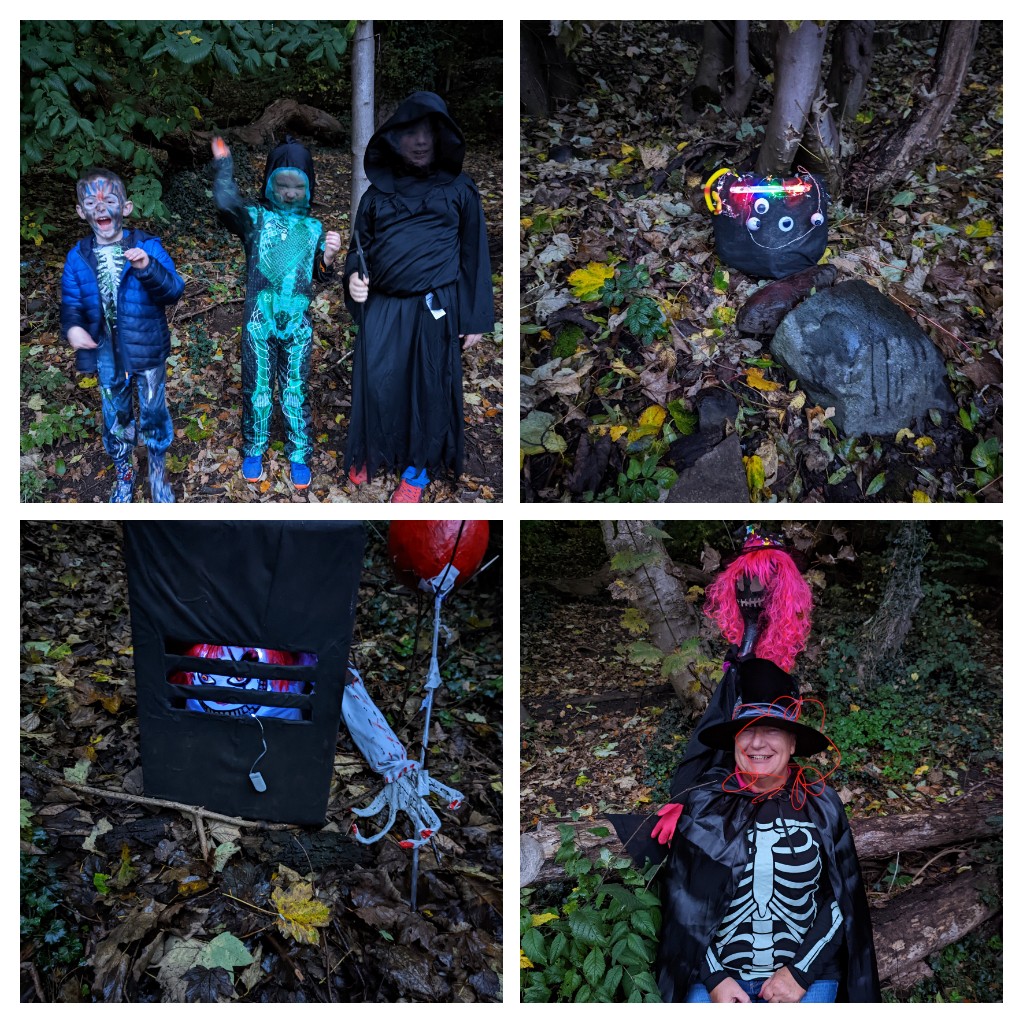 Menstrie Primary School tweet media