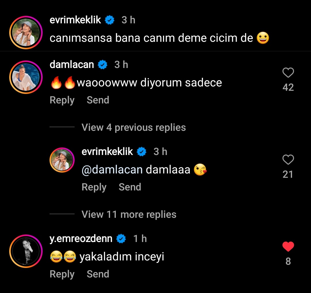 Wat da fak. Neyi anlamış Yunus Emre