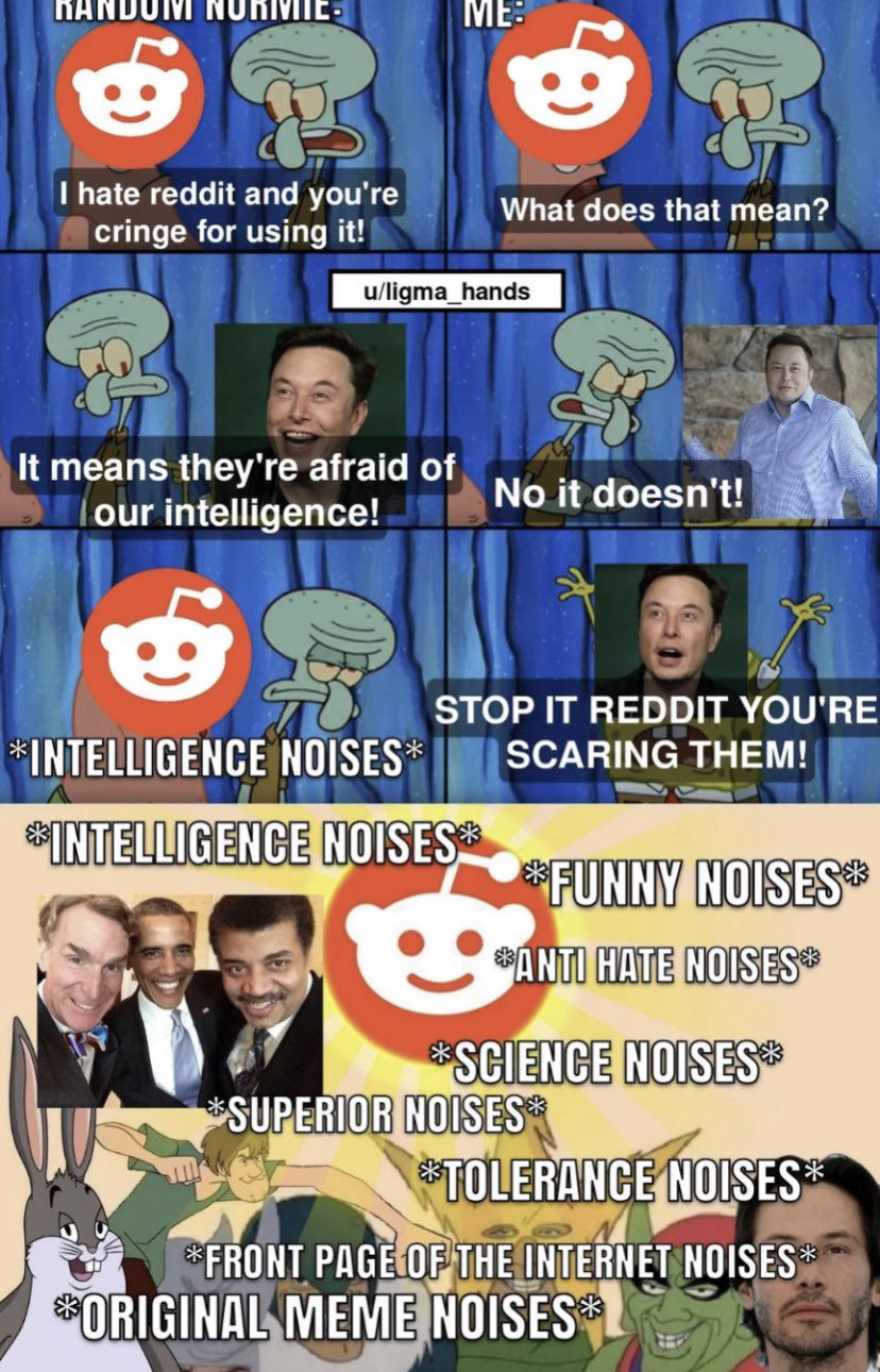 tax evasion on Twitter "fyridk Ryuk0o02 never mess with the Elon