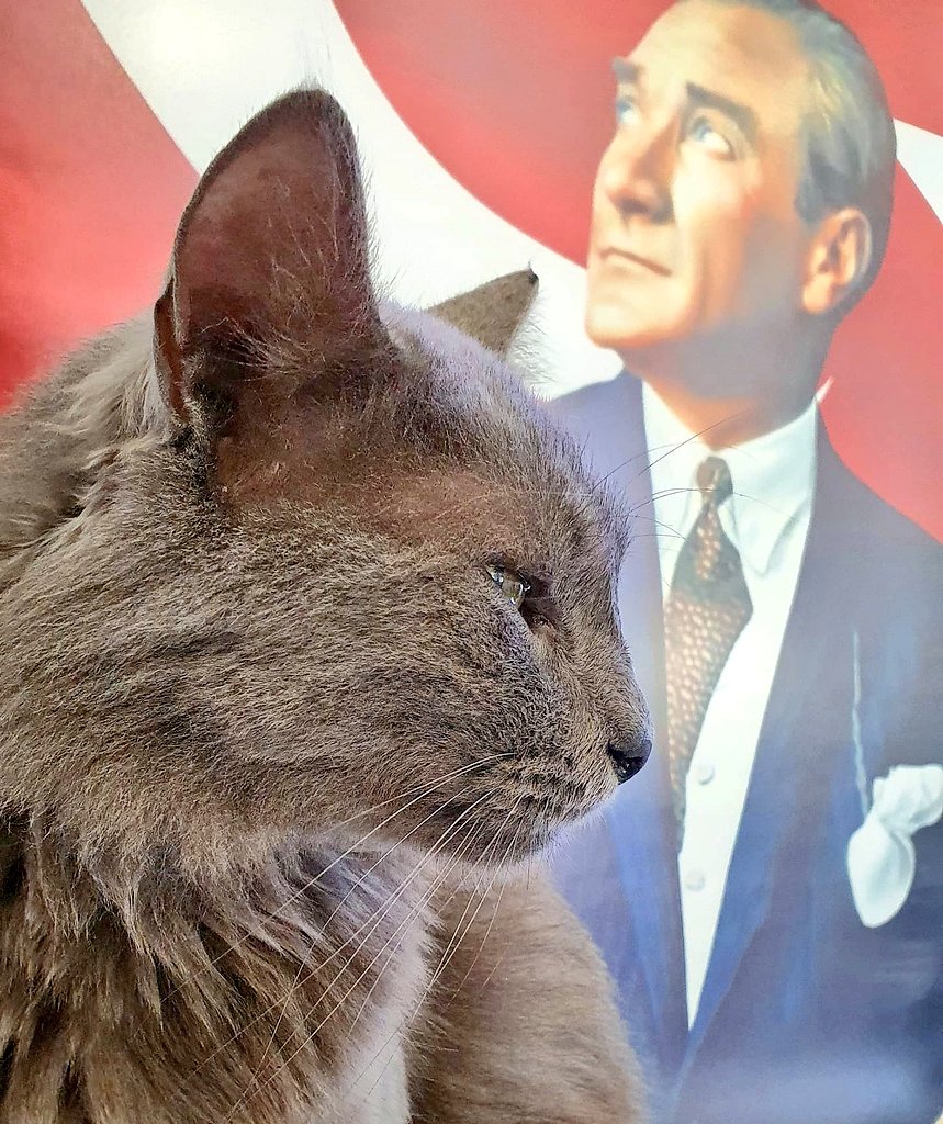 Hayattaki en büyük şansım, O'nun kurduğu ülkede yaşıyor olmak...
Cumhuriyetin kıymetini bilin canlarım.
Yaşasın Cumhuriyet! 

#29EkimCumhuriyetBayramı