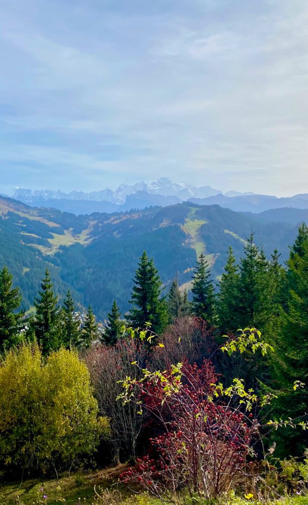 TheWonder_'s tweet photo. Mont Blanc 🏔
#montblanc #france #mountains #travel #adventure #travelphotography #traveltips #explorers https://t.co/RWcA0uSyRA