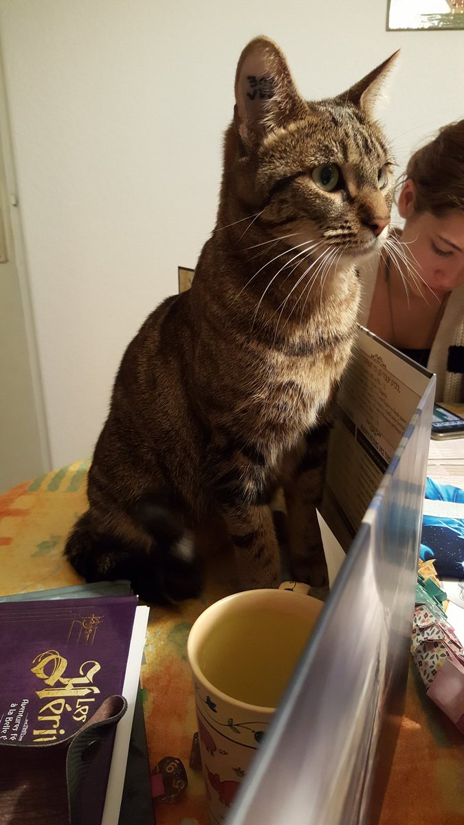 Notre MJ est une Bastet. #JdR #LesHéritiers