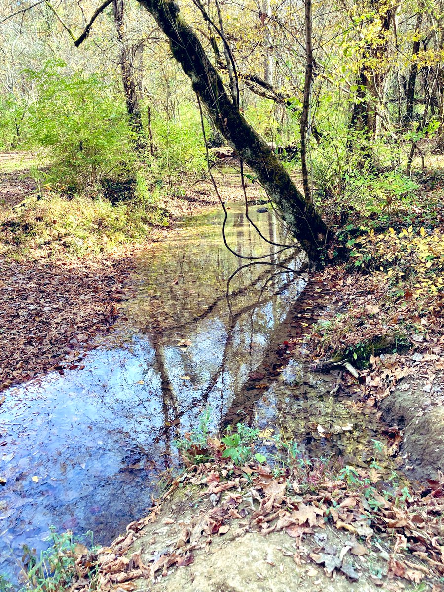 ClassicMP's tweet photo. Same walk. Same day. same reason. #FallWalk https://t.co/QkVZnCWynF