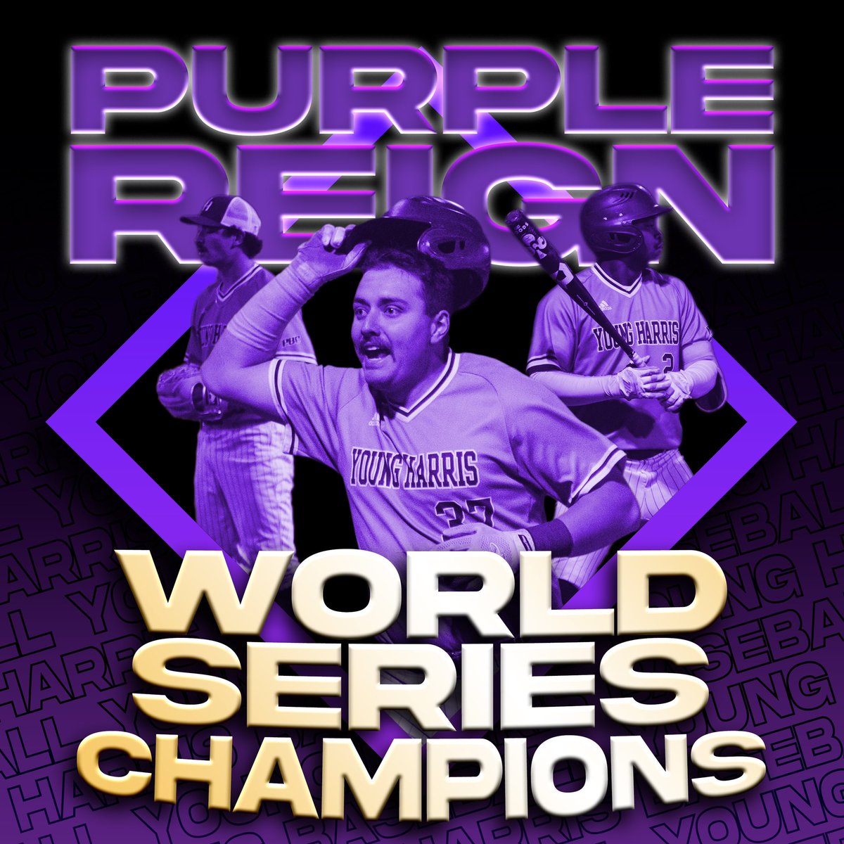 YHC Baseball tweet media