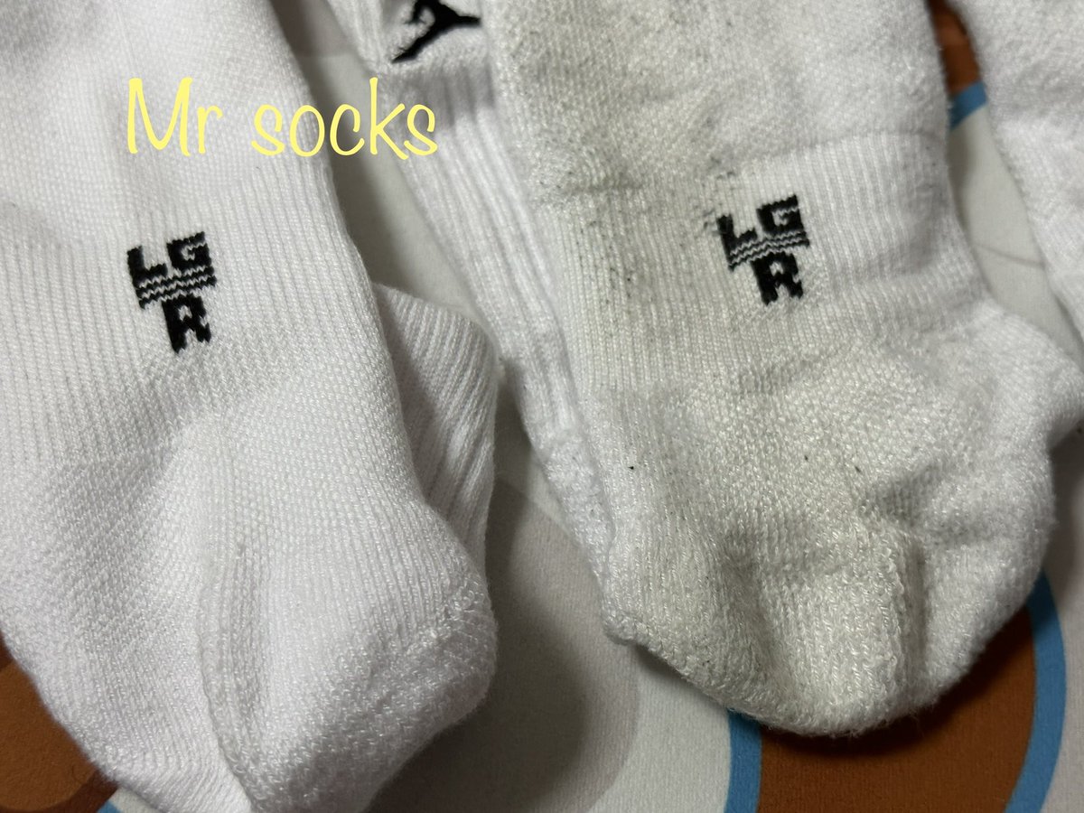 Mr socks tweet media