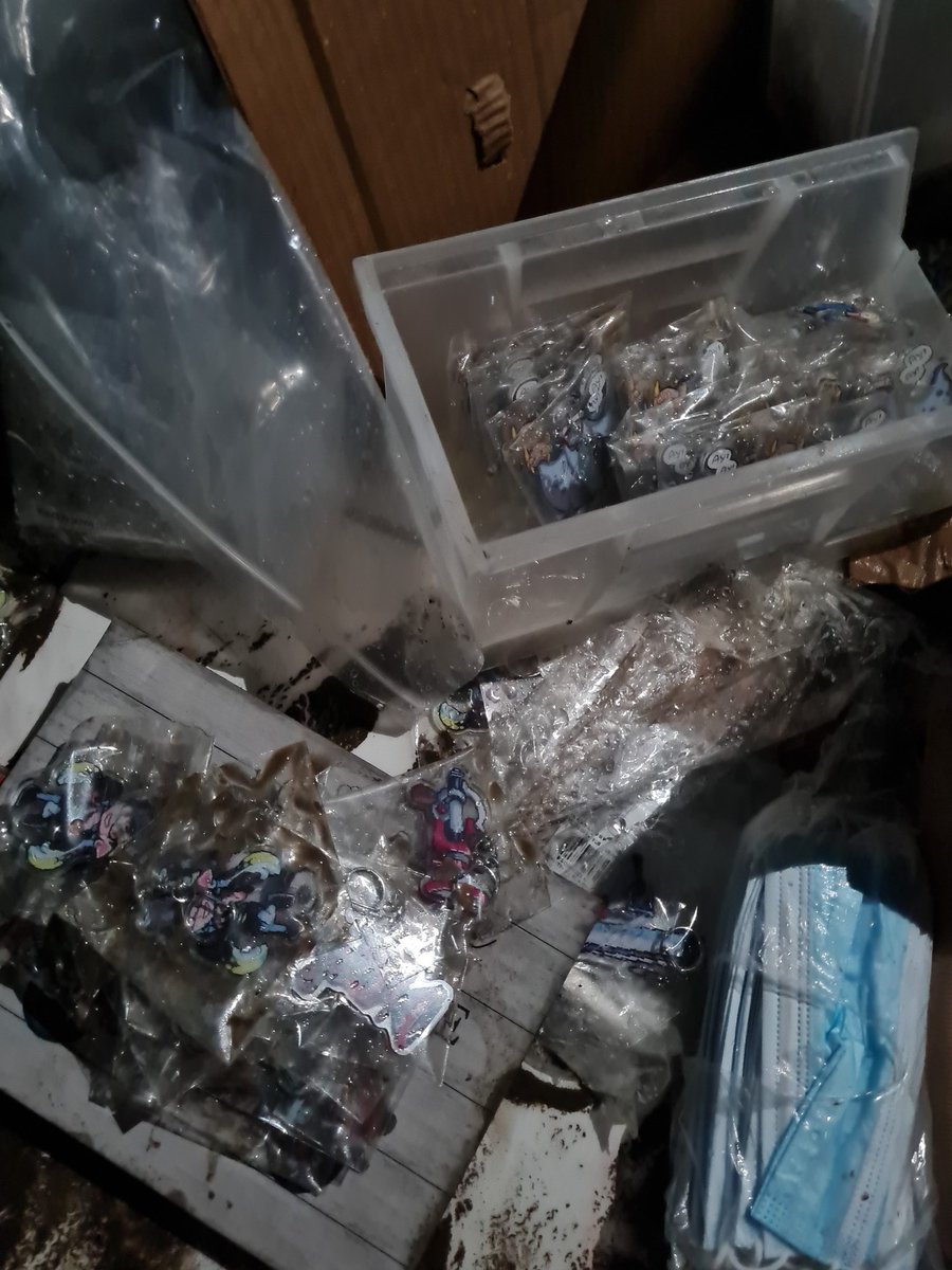 Arumikat's tweet photo. Words can't express how devastated I am. All my hardwork, my entire studio, merch, equipment, was wrecked in the flood.

Buyers, commissioners, clients. Please give me a little more patience as I pick myself back up again. https://t.co/V8yMD9Ykhj