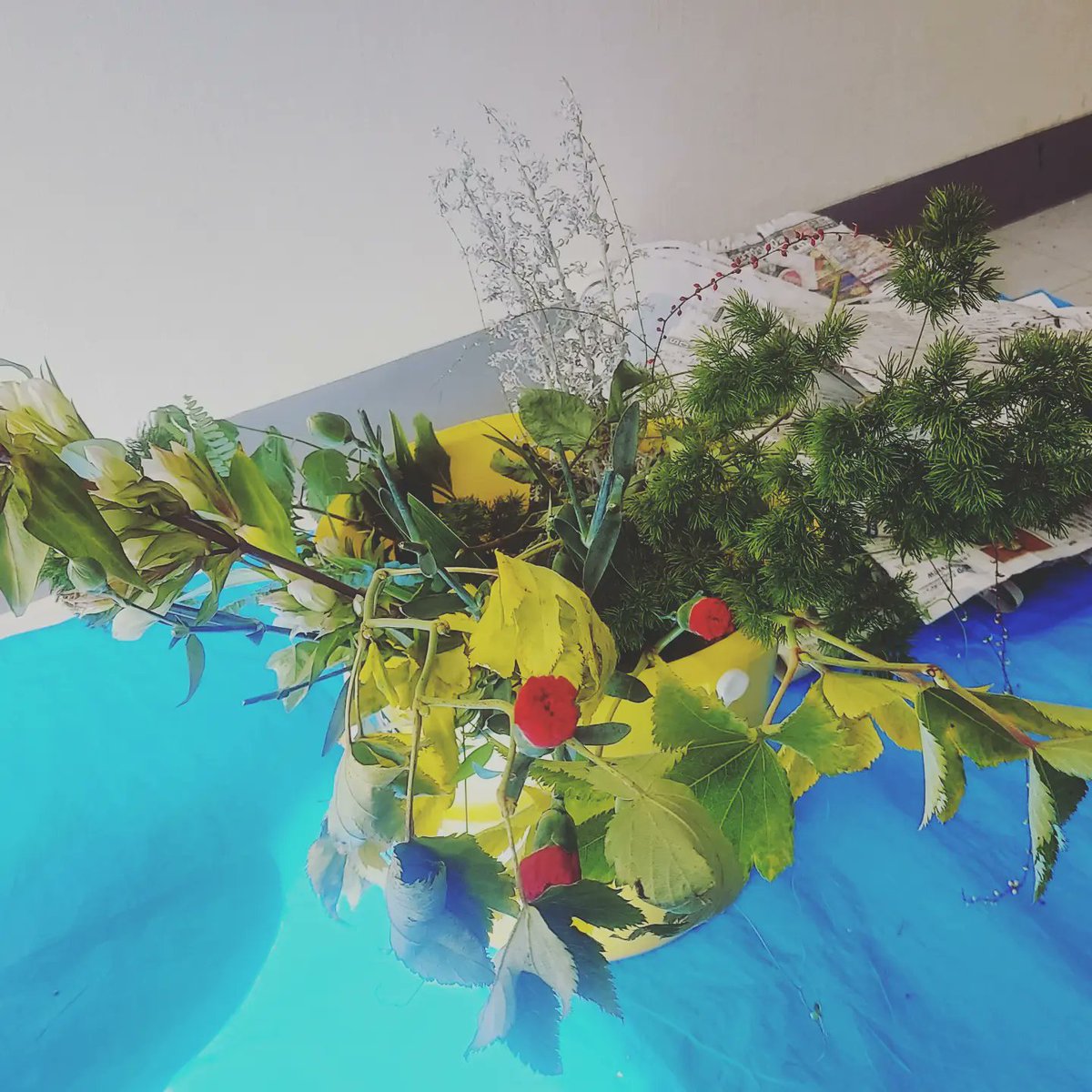 kadaiflower tweet picture