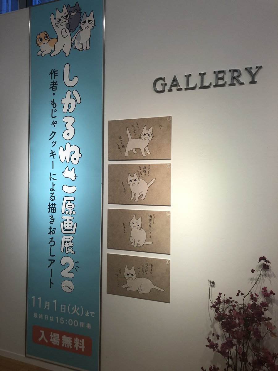 「丸善 丸の内本店で開催中の #しかるねこ原画展2 見てきた〜〜〜!!かわいいが溢」|たっつん🌟ゆるかわイラストのイラスト