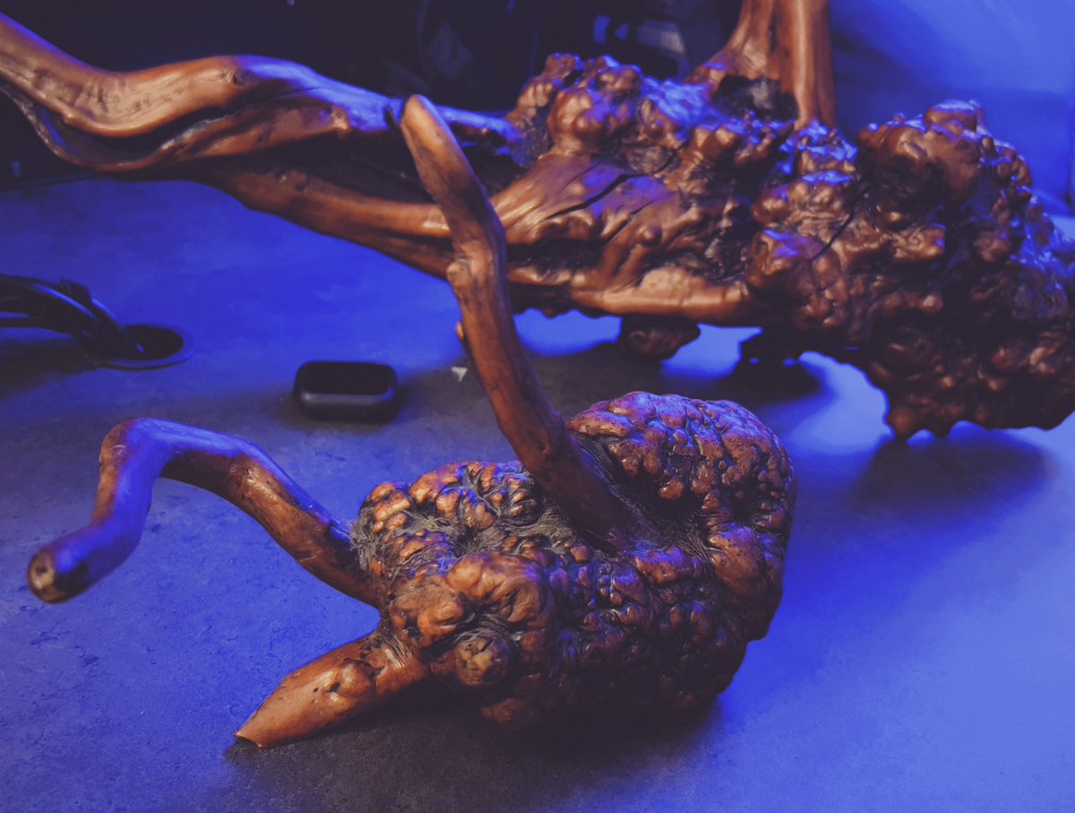 Halloween decorations…