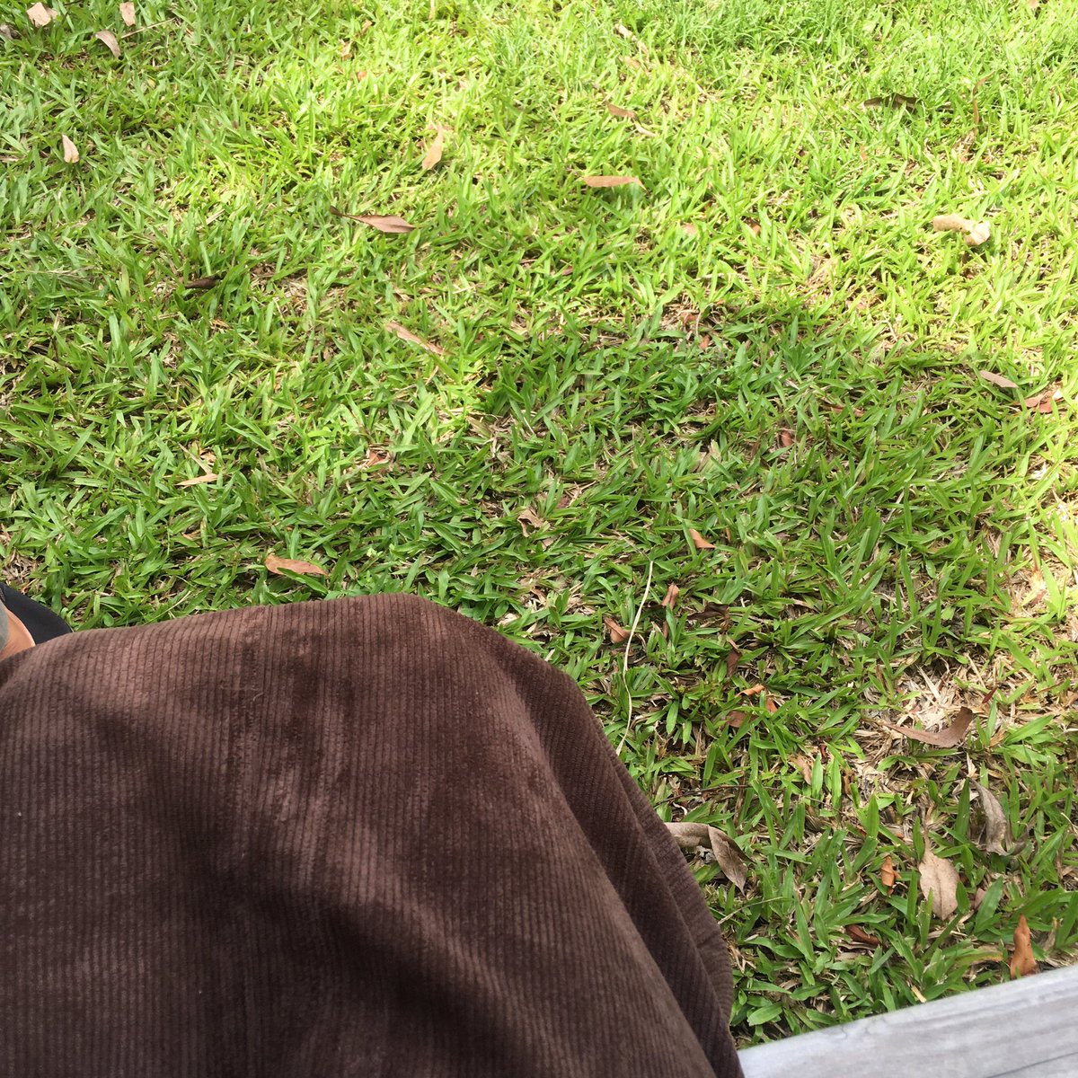 Harper261263's tweet photo. กป.ลูกฟูก 220ส่งฟรี  #เสื้อผ้ามือสอง #ส่งต่อเสื้อผ้ามือสอง #ส่งต่อสกินแคร์ #เสื้อผ้ามือสองราคาถูก https://t.co/alBdYGXSC3