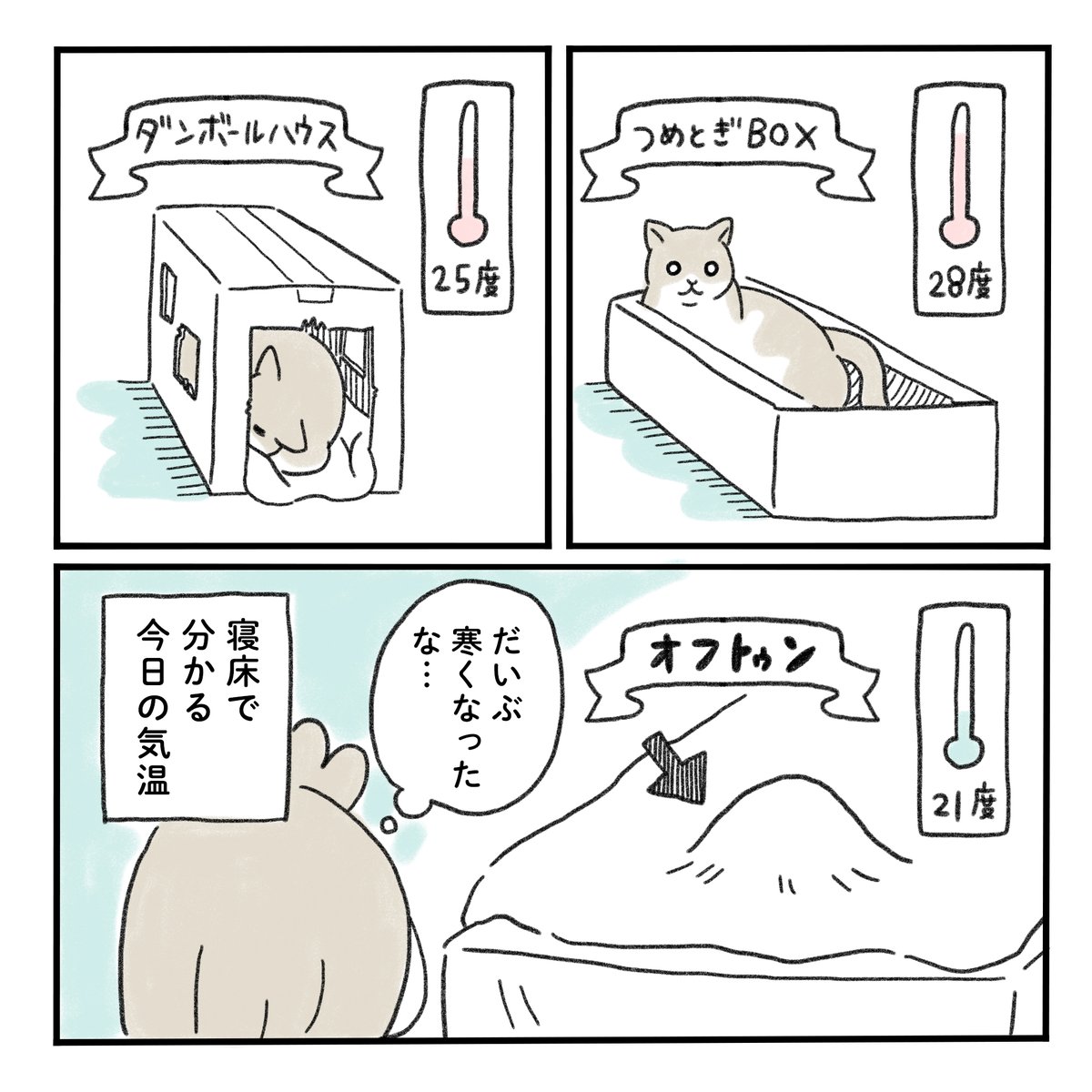 ねこがいる場所でだいたい気温がわかる

#猫がいる暮らし #みちこの日記 