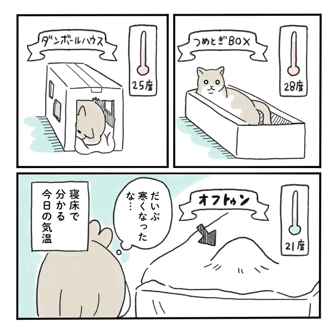 ねこがいる場所でだいたい気温がわかる

#猫がいる暮らし #みちこの日記 