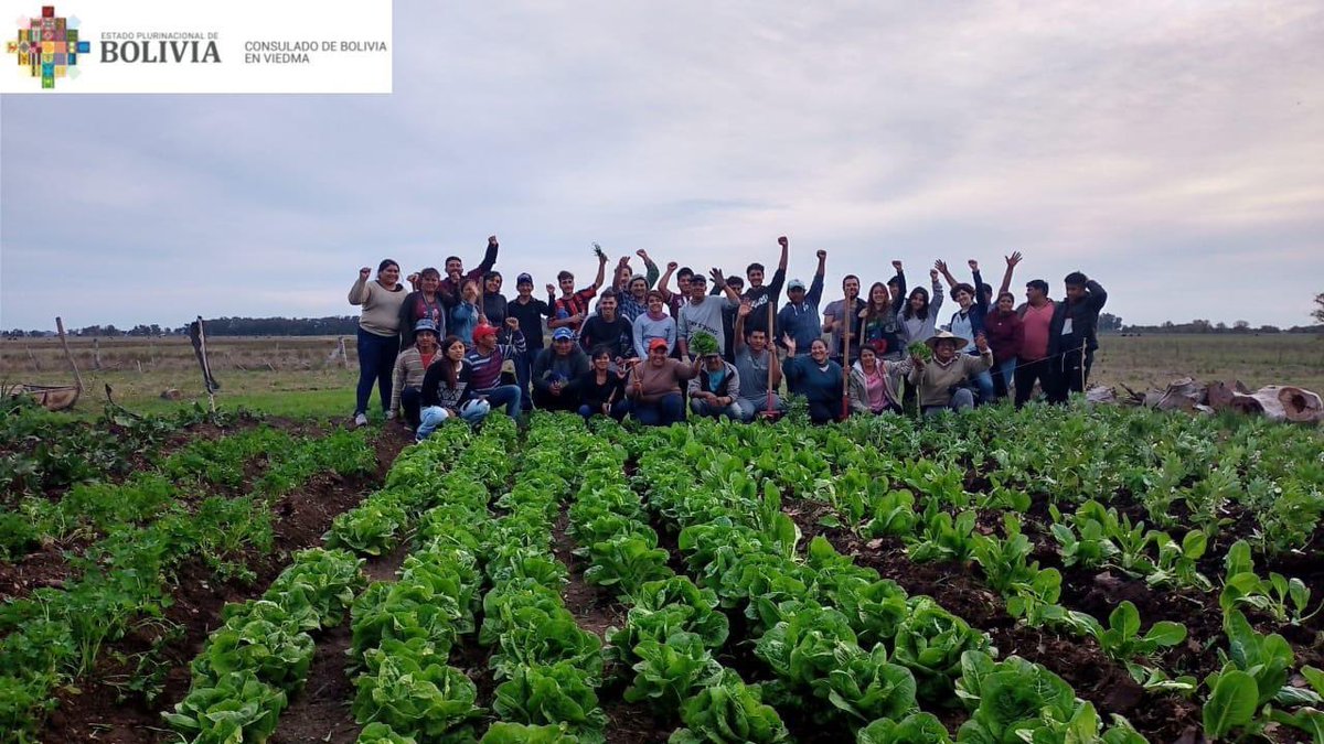 ConsuladoViedma's tweet photo. Felices por la participación de nuestros residentes de Río Colorado-Viedma, que se presentaron en la convocatoria“Apoyo de Iniciativas a Residentes Bolivianos en el Exterior” donde se seleccionó la iniciativa de nuestra comunidad promocionando su trabajo  agro ecológico https://t.co/nhKoEidmB1