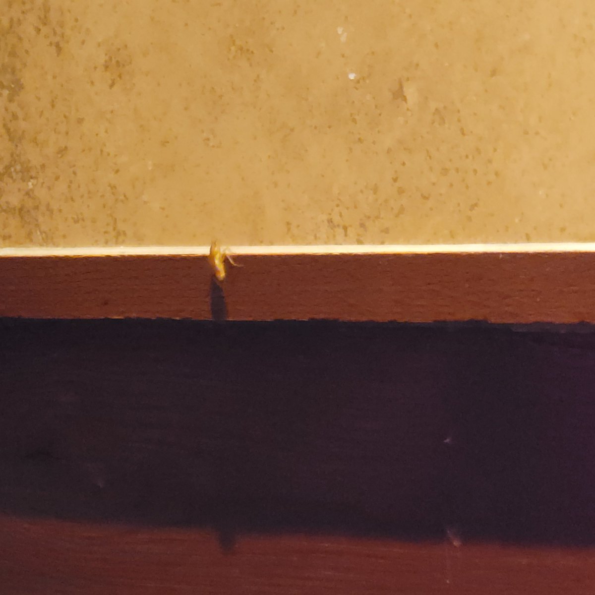 Deborah78328490's tweet photo. @KAKEnews Went to eat st Cheddars Scratch Kitchen and had unexpected guest. https://t.co/rHVPGtWxar