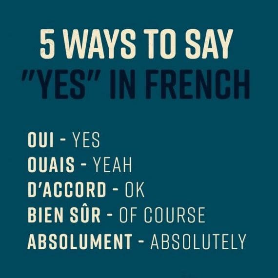 #LanguageGoals #Yes  #learnfrenchwithme 🇫🇷 🤓 💬 📝