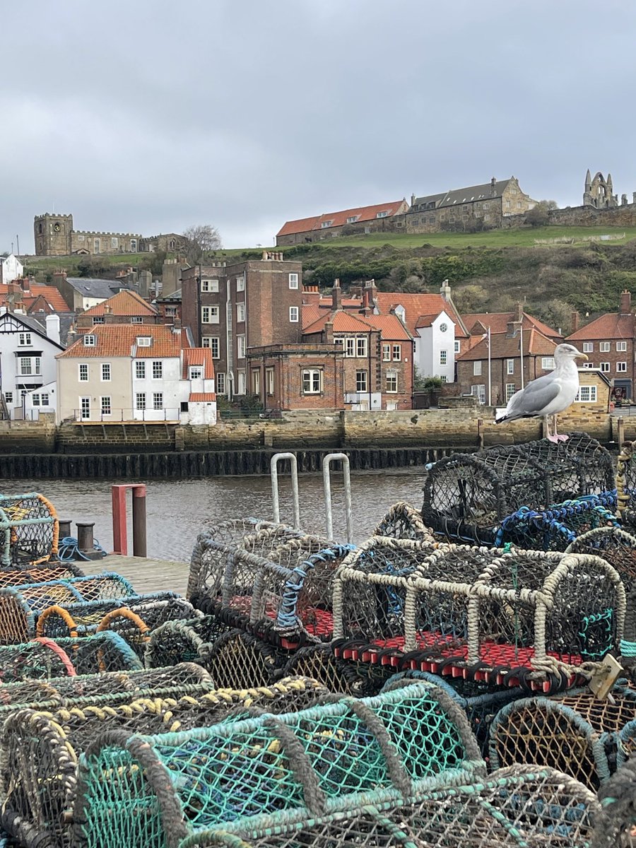 Annita McVeigh tweet media