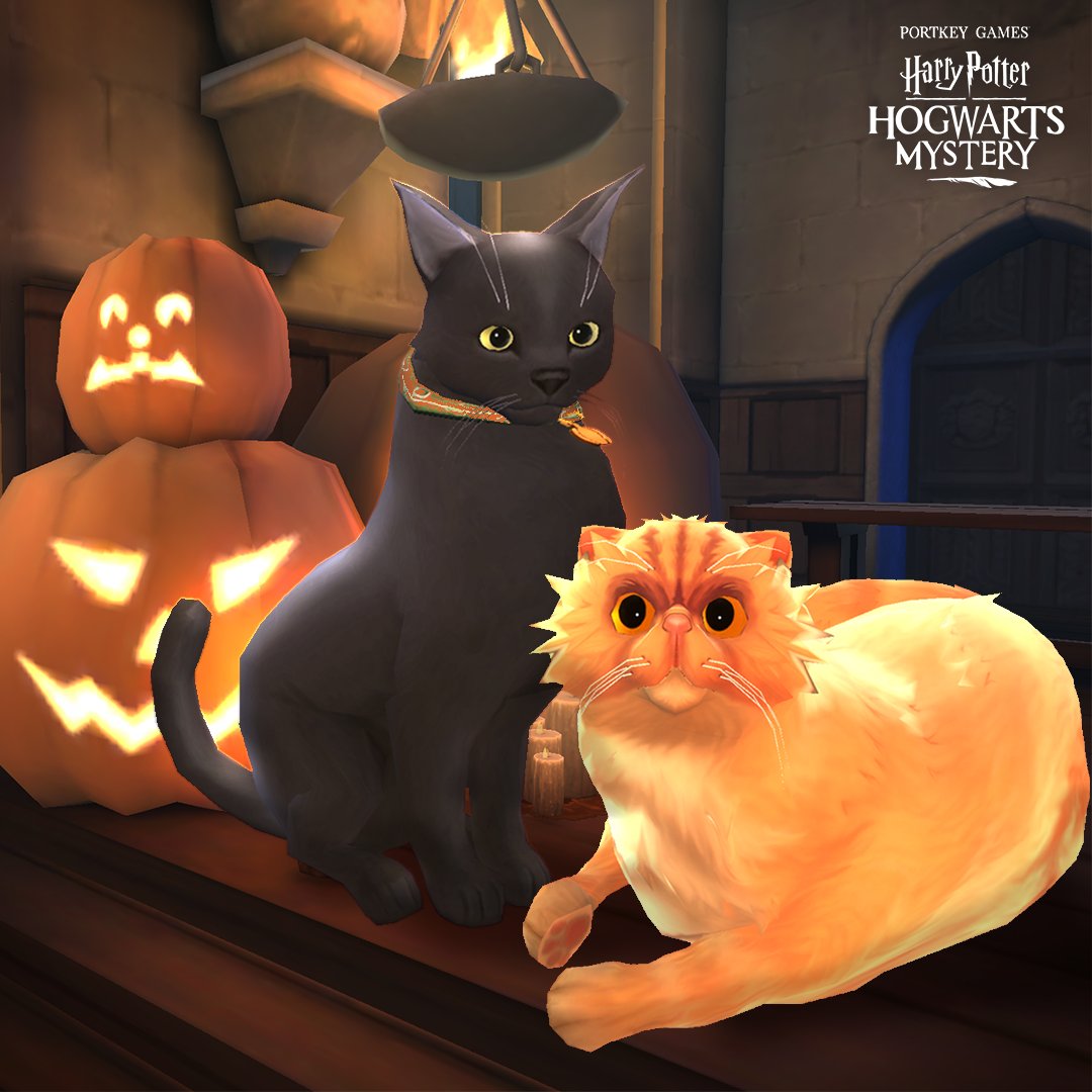 Harry Potter: Hogwarts Mystery on X: The #Caturday before #Halloween calls  for some familiar orange and black cats. Show us yours!   / X