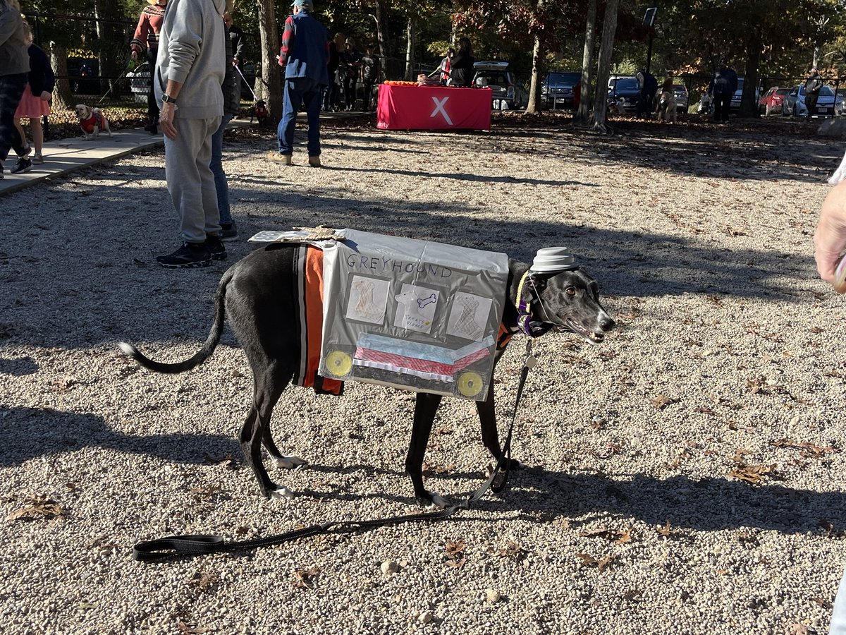 Vote_Moran's tweet photo. Taking a little time out from campaigning to judge a costume contest at the Falmouth Dog Park.  Special shout out to fellow judges Dr. Taylor and the Schneider's.  Jazz had to sit this one out so there was not conflict of interest ;-). https://t.co/VZ4eGGF65E