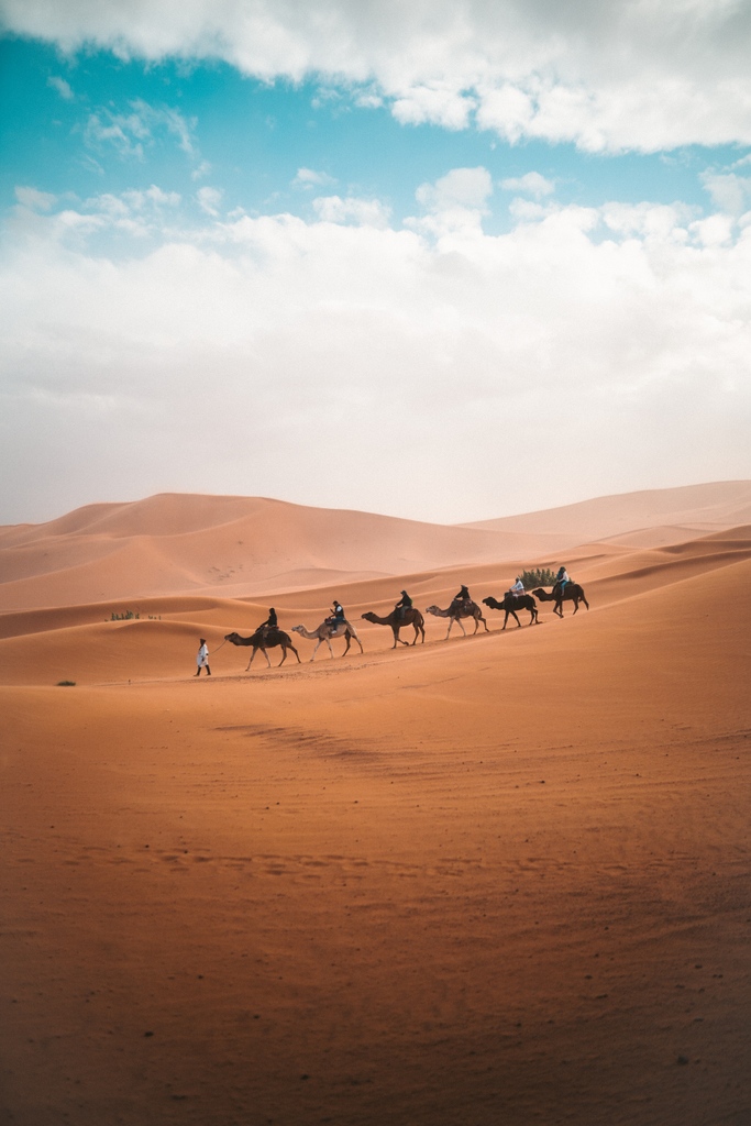 YogaDownload's tweet photo. 🐫 ONLY 3 ROOMS LEFT!
EAT, EXPLORE, YOGA : MARRAKECH, MOROCCO⁠
APR 16 - APRIL 22 2023⁠
⁠We’ll explore the intimate courtyards and snaking alleyways of the historic Medina, ride camels into the sunset, fly through desert sand dunes on quad bikes, take a Moroccan cooking class. https://t.co/6d7zAoKU1y