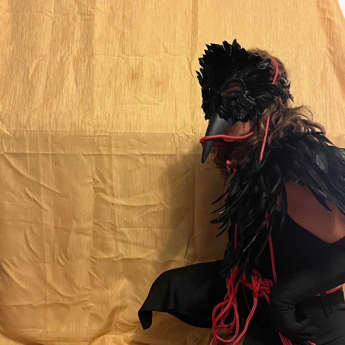 Ashley Wolfgang tweet media