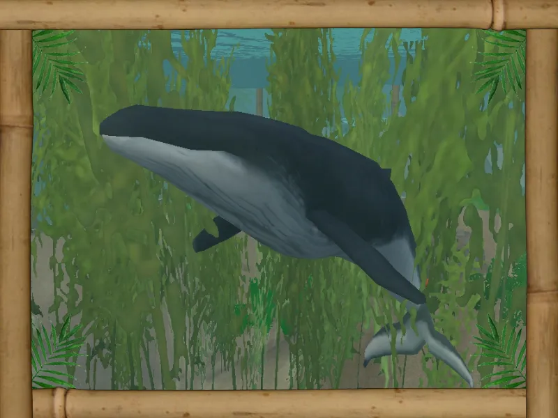 Zoo Tycoon Posts on Twitter "I love the Southern Minke Whale of Island
