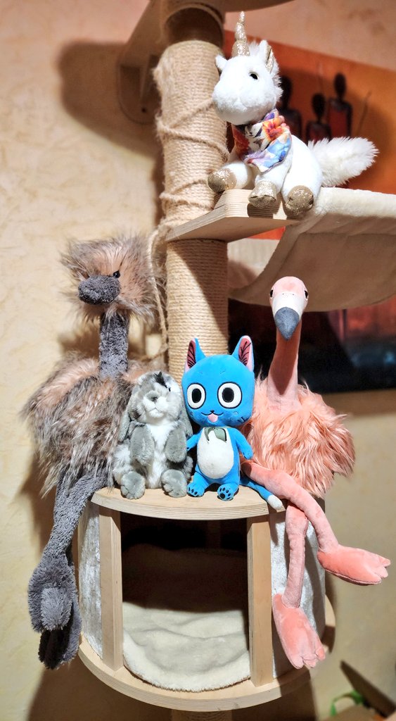 Turbo♀️Goliath♂️Bilbao♂️#PLUCHES💖🎀🚜👑🌹🦐🌟🧼🍋 tweet media