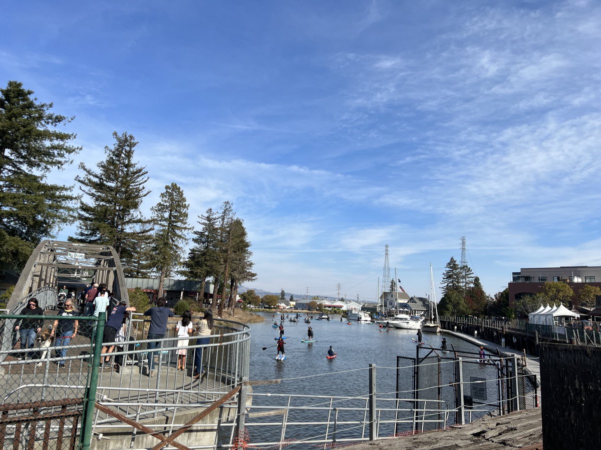 AristotleWolfe's tweet photo. My favorite line from the movie Lost Boys goes: “One thing about living in Santa Carla I never could stomach… all the damn vampires.” Well, here in Petaluma we are more than fine with all our damn witches… especially on paddle boards. 🧙 🏄🏻‍♀️ 🎃 Happy Halloween, P-town! https://t.co/wDC3QLfWTI