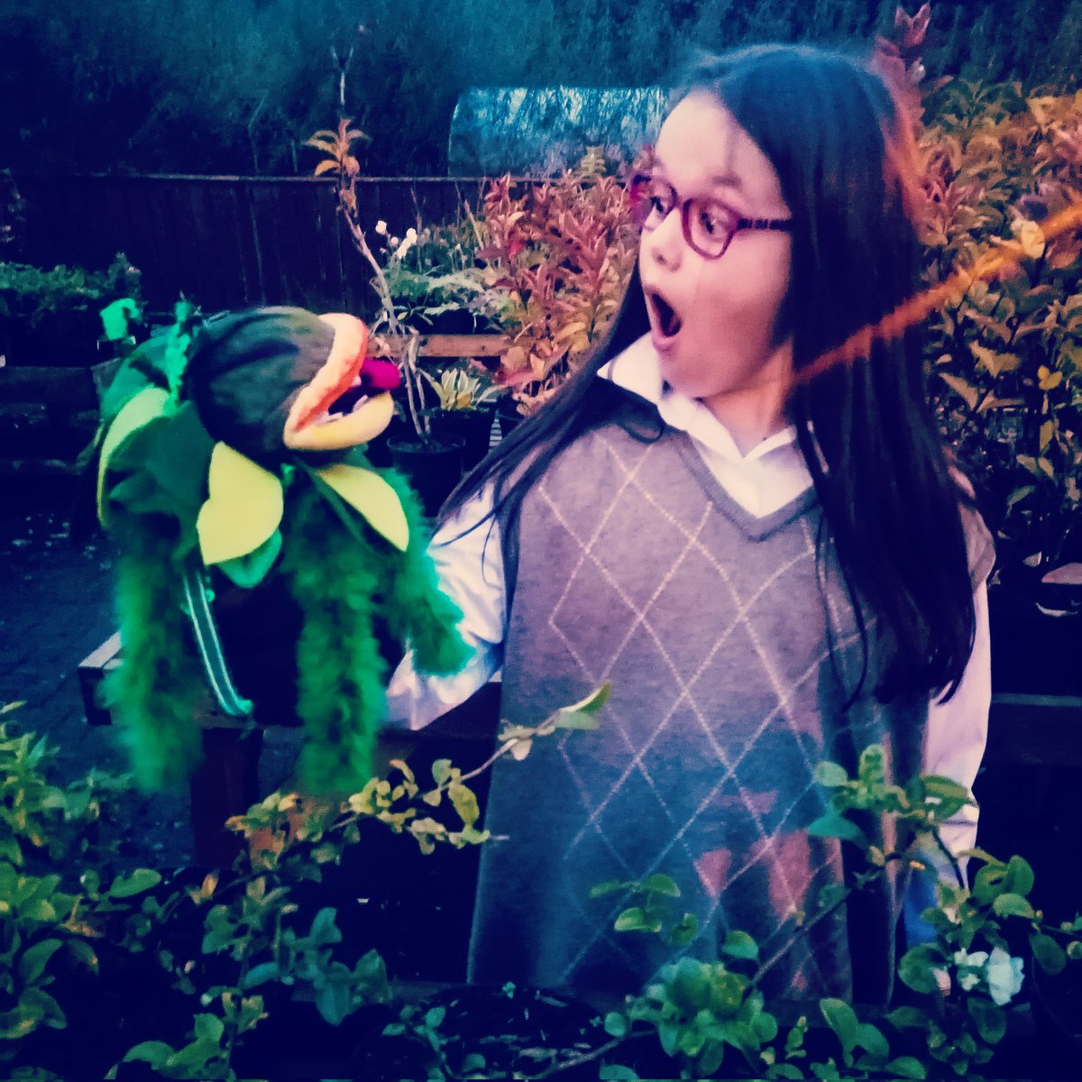 MrsSimcoe tweet picture