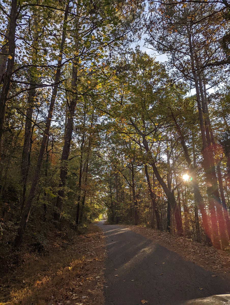 Ok, so I FINALLY got logged back into this profile after a new phone messed things up. Just in time to see the mass exodus. 😳 If you are my Twitter pal here and are leaving the platform, I'd love to know how else to stay in touch with you! 
Happy Saturday!!!