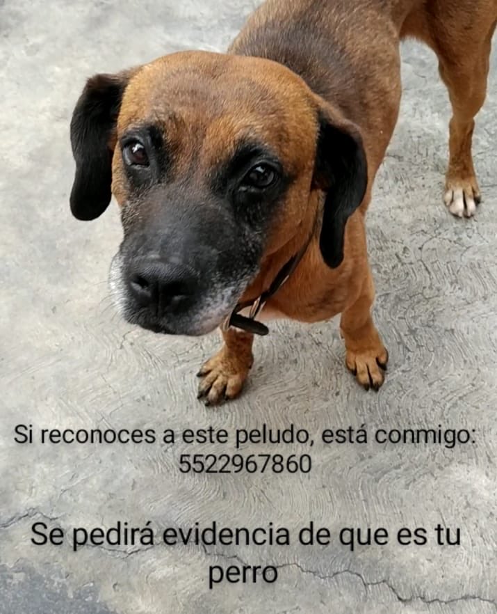 Atencion
