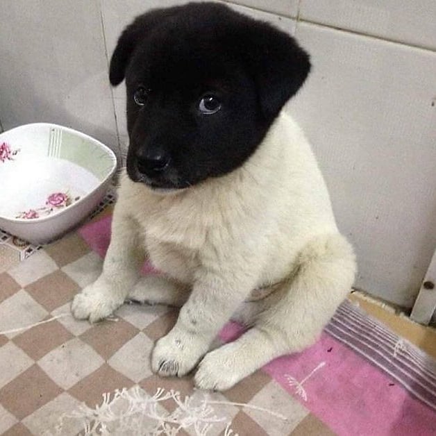 Y todo empezó con un beso / el beso