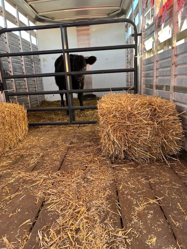 Eric Yoder tweet media