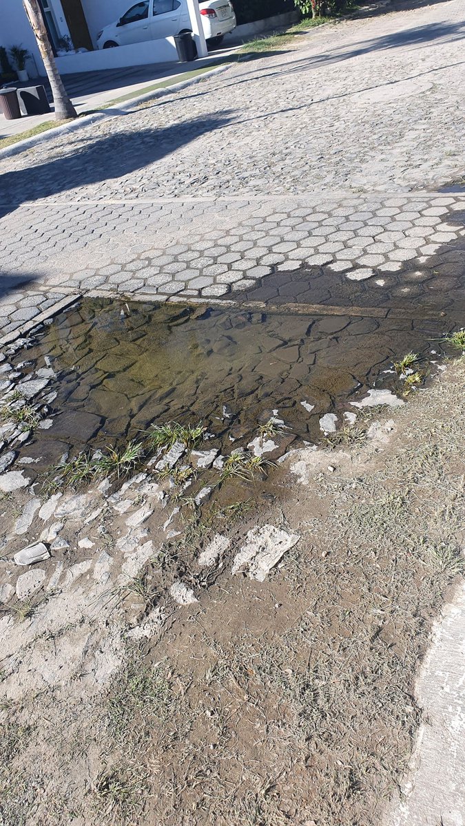 macrody5's tweet photo. @siapagdl Ayuda URGENTE por favor: fuga en la esquina de Sta Elvira y Gral Nicolas Bravo, fraccionamiento Valle de San Nicolás, col. El Fortín, la fuga ya hizo un bache de casi 2mts de ancho, cada vez se está haciendo más grande el bache. https://t.co/QXMVWOGQP8