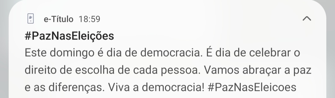 ruiclso's tweet photo. Acho que o app do e-titulo ainda não está sabendo da covardia da #CarlaZambelli https://t.co/MP8fZxVHOL