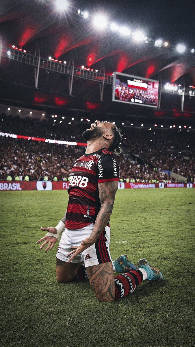 _OsFlanaticos's tweet photo. FINAL DE LIBERTADORES É SINÔNIMO DE GOL DO GABIGOL https://t.co/0n4grB5fG9