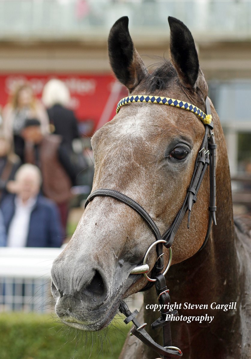 Debut; ORCHID BLOOM @CierenFallonJr much the best in 7f 2yo fillies maiden @NewmarketRace today for @DarleyEurope Farhh and trainer William Haggas. #willtheorchidbloom