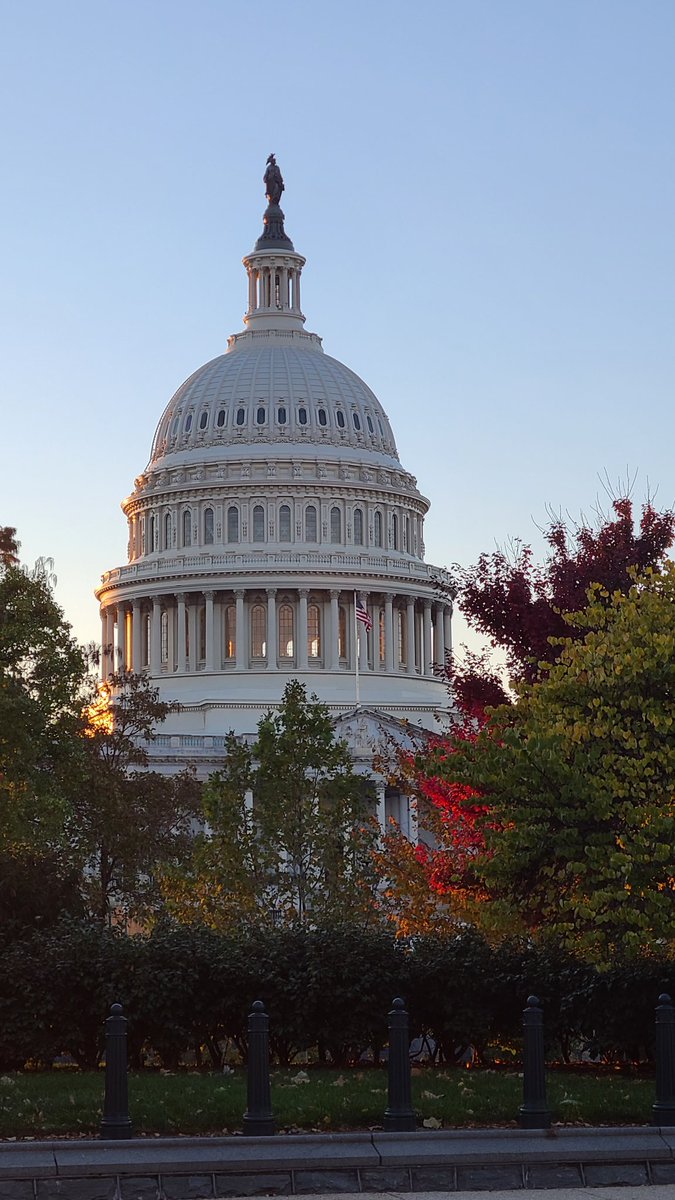 FanRankin's tweet photo. Here in DC for an event. Lovely sight. Hope it survives the next eight days. #DemocracyIsOnTheBallot #USCapitolBuilding https://t.co/lzh50BnIVK