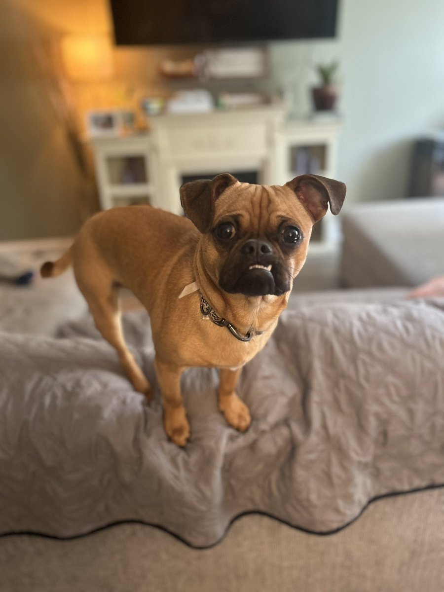 JenHatfield13's tweet photo. @JoJoFromJerz Hi Ruby!  I’m Kevin! https://t.co/nrSFs50Wgo