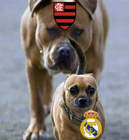 MonkProfit's tweet photo. VAMOS PEGAR 🙅🏿‍♂️ https://t.co/xR9MVyAAoA